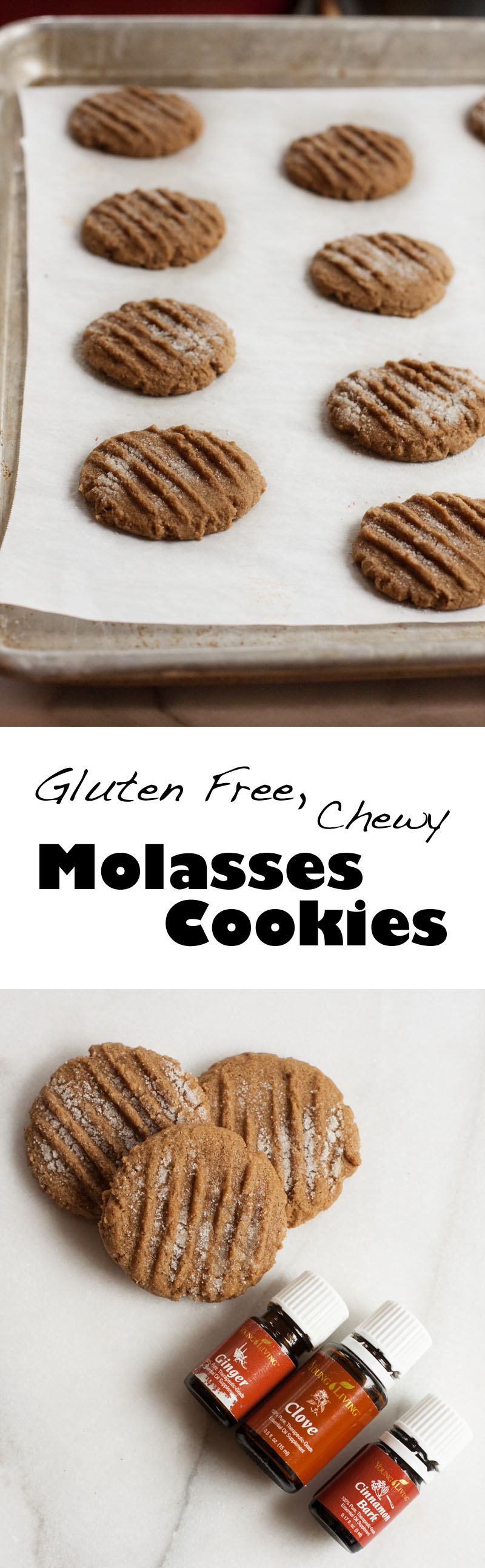 Gluten Free Chewy Molasses Cookies | Sweet Anna's