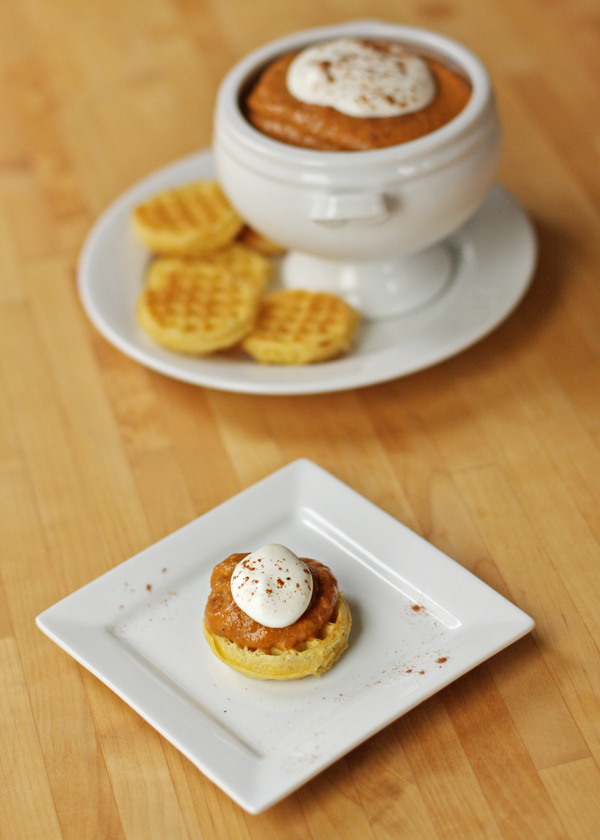 easy no-bake pumpkin cheesecake bites | Sweet Anna's