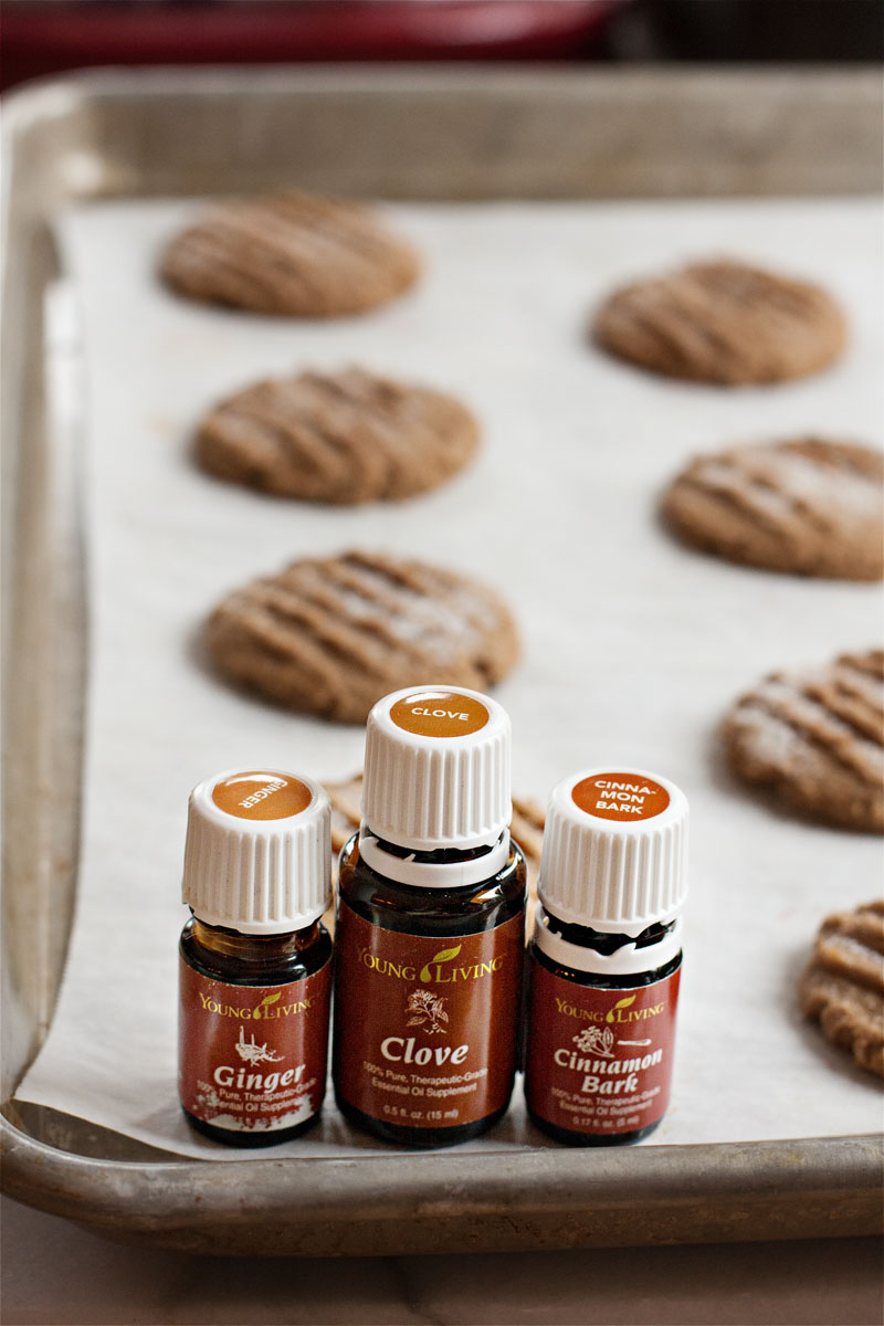 Gluten Free Chewy Molasses Cookies | Sweet Anna's