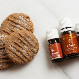 Gluten Free Chewy Molasses Cookies | Sweet Anna's